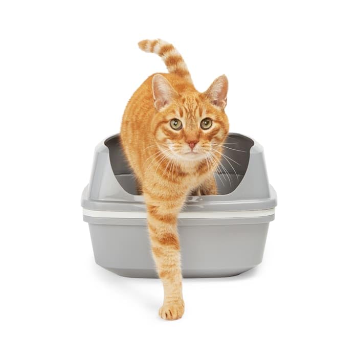 So Phresh by Petco Grey & White Lift-to-Sift Cat Litter Pan Large 19.7" L