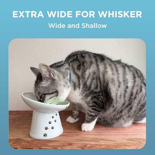 Necoichi Ceramic Elevated Cat Food Bowl, 15° Tilted (Cat, Extra Wide Tilted) - color: Cat, size: Large Extra Wide Tilted