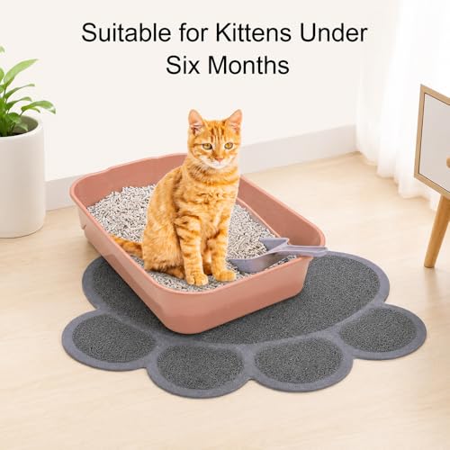 Kitten Litter Box Starter Kit with Mat, All-in-One Starter Kit for Kittens & Small Cats, Anti-Tracking Litter Mat, Easy Clean, Includes Scoop & Toys, Compact Size (PinkScoop Set) - color: PinkScoop Set