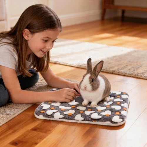 2 Pcs Bunny Bed, Washable Rabbit Bed, Double-Sided Fleece Sleeping Pad for Guinea Pig, Dwarf Rabbit, Chinchilla, Ferret, Hamster, Warm Small Animal Cage Mat, 13x10in, Brown Heart - color: Brown Heart
