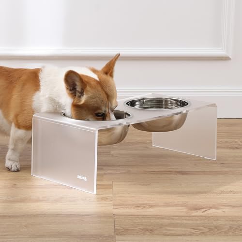 DBL2001K Keaton 7.5" Medium/Large Modern Acrylic Rectangular Elevated Pet Feeder with 54oz 2-Stainless Steel Bowls, Moon White/Chrome - color: Moon White/Chrome, size: 54 Ounces (7.5" Cups 2-Pack)