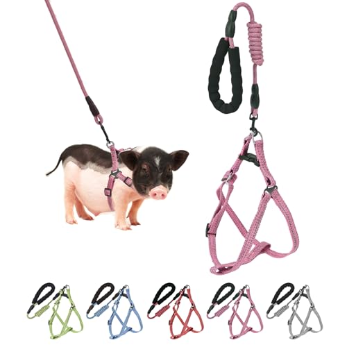YeeBeny Mini Pig Harness Adjustable with Leash Foam Handle Pink, S | Adjustable Small Pig Harness with Leash Infinity Style Lead and Soft Foam Handle for Walking Training Jogging - color: Pink, size: S