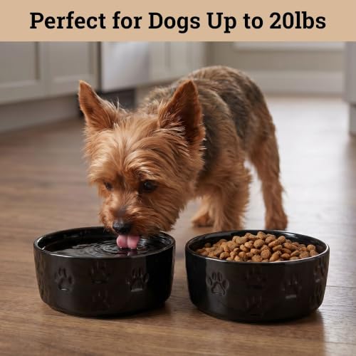 Ceramic Dog Bowl Set of 2 with Anti-Skid Base, 5.5"W x 2"H, 2 Cup Capacity | Thick Ceramic, Dishwasher Safe, Anti-Skid Rubber Base, 2 Cups per Bowl, Ceramic Food and Water Bowls Set of 2 for Small Dogs - color: Black, size: Small