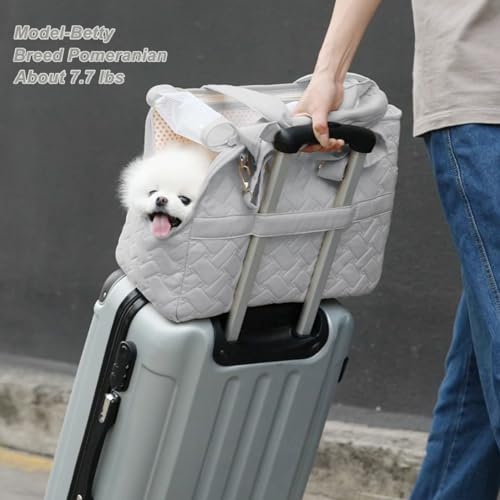 HSC PET Cat Carrier Soft-Sided Pet Small Dog Bag Puppy Purse Traveling Go to Vet,Small Animal Outdoor Function Handbag (Beige2, Large)