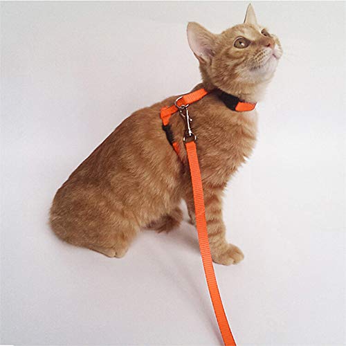 2 Pack Cat Harness and Leash | Adjustable Halter Harness with Nylon Strap, Safety Rope Leads for Kittens | Orange & Light Blue Color Set, Comfortable Escape-Proof Design