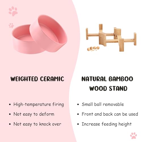 SPUNKYJUNKY 15° Slanted Ceramic Dog and Cat Bowl with Wooden Stand, Tilted Bulldog Food and Water Bowl No Slip Non-Spill for Cats Medium Dogs Big Face Pets 13.5 OZ (1.7 Cups, Pink × 2) - color: Pink, size: 1.7 CUPS × 2