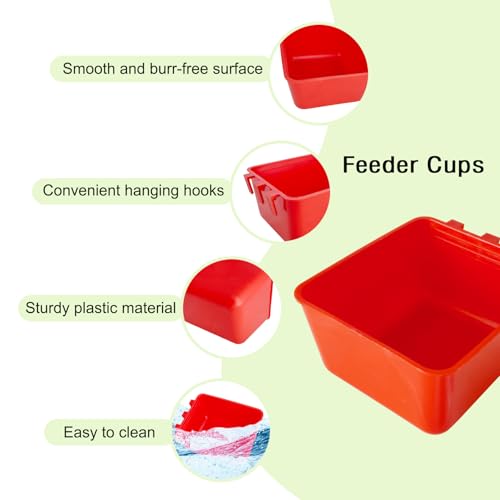 1000ml No Drip Small Animal Water Bottle for Rodent/Ferret/Hamster/Guinea Pig/Rabbit