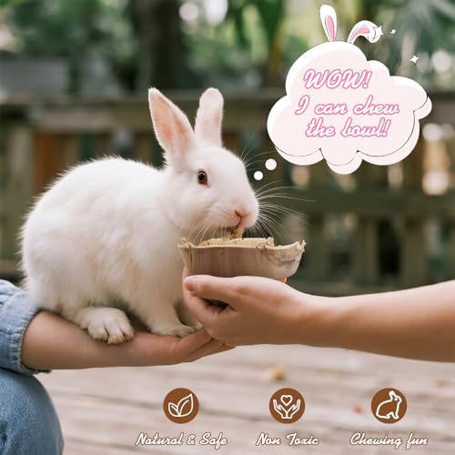 WALLFID Palm Leaf Bowls for Bunnies,6-Piece,3.5" and 6" Sizes,Natural Chew Toy for Rabbits,Bunny Accessories,Rabbit Toys,Bunny Toy (6 inches*6)