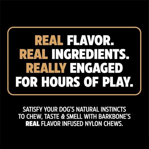 Pet Qwerks Dinosaur BarkBone, Nylon Dog Bone for Aggressive Chewers Chew Dog Toy, Bacon Flavor - Medium 8.5" - size: Medium