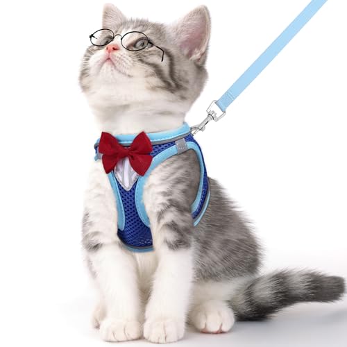 Cat Vest Harness and Leash Set, Escape Proof Kitten Harness Blue XS | Safe Reflective Strips, Adjustable Easy Wear Kitty Harness, Sturdy Clip Buckle, Breathable Mesh , for Kitty Puppy Bunny Walks - color: Blue, size: XS