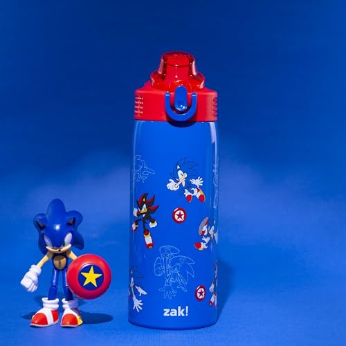 Zak Designs Sonic the Hedgehog Sage 19oz Leak-Proof Straw Kids Water Bottle | BPA Free, Insulated Stainless Steel, Cupholder Friendly, Dishwasher Safe, Lid Lock, Handle, For School, Home, Travel, Outdoor - color: Sonic the Hedgehog (Sage)