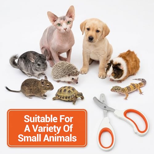 Bearded Dragon Nail Clippers, Stainless Steel Pet Nail Clippers, Reptile Nail Clippers Grooming Tool for Bearded Dragons, Small Animals, Reptile Care Supplies
