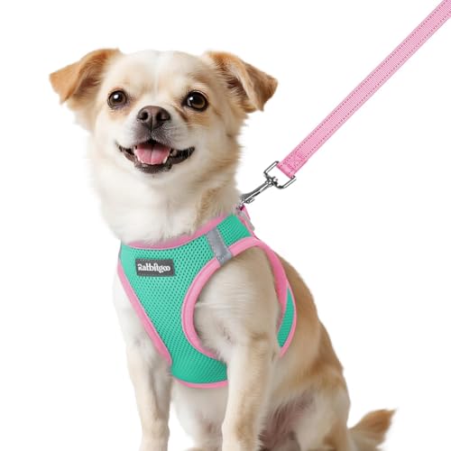 rabbitgoo Dog Harness Small Sized and Leash Set, Step in Soft Vest | Breathable Mesh, Easy Wear with Hook & Loop, Light and Reflective for Walking, Multi-colored, Teal & Pink, XXS - color: Teal & Pink, size: XXS (Chest: 12.4"-14.2")