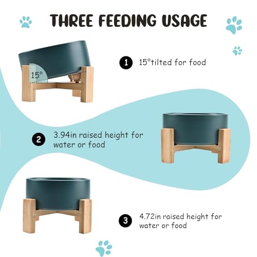 SPUNKYJUNKY 15° Slanted Ceramic Dog and Cat Bowl with Wooden Stand, Tilted Bulldog Food and Water Bowl No Slip Non-Spill for Cats Medium Dogs Big Face Pets 28.7 OZ (3.6 Cups, Green) - color: Green, size: 3.6 CUPS × 1