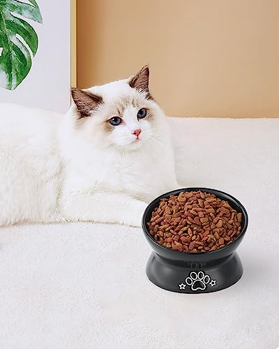 LoeJan Elevated Cat Food Bowl, 5 Oz Ceramic Raised and Tilted Water Bowl, Anti Vomiting and Protect Pets' Spines Dishes for Small Dog, Fat Faced Cat, Kitten (Black Pattern, 1 Pack) - color: Black Pattern