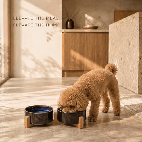 SPUNKYJUNKY Ceramic Dog and Cat Bowl Set with Wooden Stand, Modern Cute Weighted Food Water Set for Small Size Dogs (13.5OZ) & Medium Sized Dogs (28.7OZ) & Cats (1.7 Cups, 2 × Starry Blue) - color: Starry Blue × 2, size: 1.7 cups