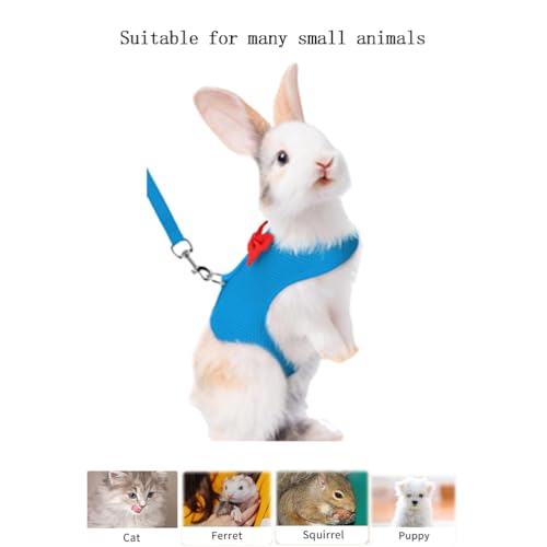 Bunny Harness and Leash for Walking Escape Proof,Blue M Chest:9.4-11.8" | Mesh Breathable Adjustable Rabbit Leash Camping Hiking Training For Ferret Kitten Puppy - color: Blue, size: M Neck 7.4-8.6'', Chest 9.4-11.8''