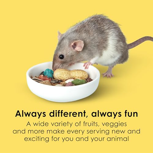 Kaytee Fiesta Mouse & Rat Food, Nutritious and Fun Blend, Supports Dental Health and Digestion, 2 pounds - size: 2 Pound (Pack of 1)