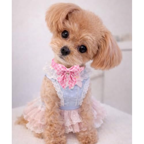 Pink Bow Dog Collar with Bowtie, Adjustable Cotton Puppy Collar with Charm and Metal Buckle, Bowtie Dog Collars for Small Medium Dogs - color: PinkBow CSB, size: XS