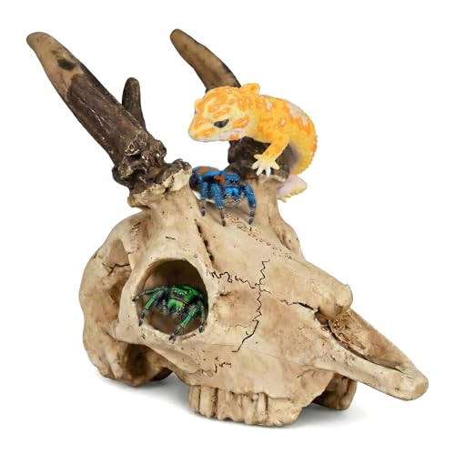 Mini Deer Skull Reptile Hide, Resin Tank Decor for Geckos, Snakes & Spiders | Realistic resin deer skull for terrarium décor; compact cave opening suits spiders, ants, Dubia roaches and other tiny pets.