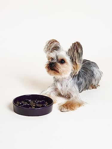 Ceramic Slow Feeder Dog Bowls Small Breed, 0.5 Cups Dog Food Dish for Fast Eaters, Puzzle Bowl for Small Dogs and Cats, 5.5 Inch-Purple - color: Purple