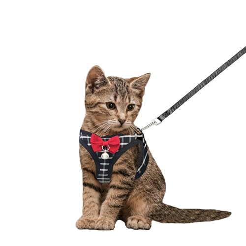 Cat Leash and Harness Set,Breathable Dog Harness,Pet Harness,Adjustable Mesh cat Harness and Leash Escape Proof for Puppy Cat Rabbit (Black, XXS) - color: Black, size: XX-Small
