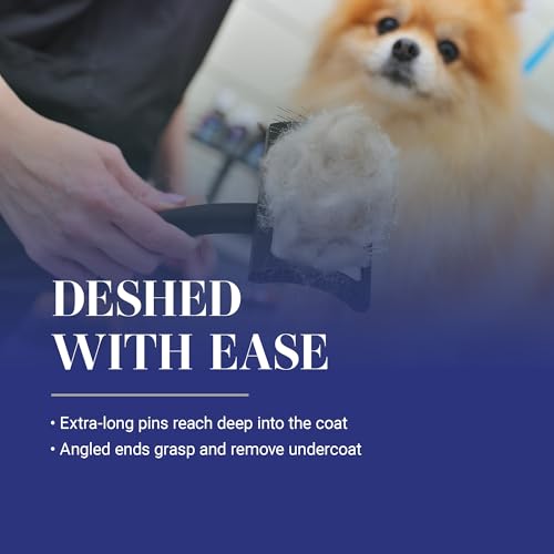 Chris Christensen Baby K Dog Slicker Brush, Groom Like a Professional, Fluff Detangle Style, Saves Time Energy, Black, Small - color: Black, size: Small