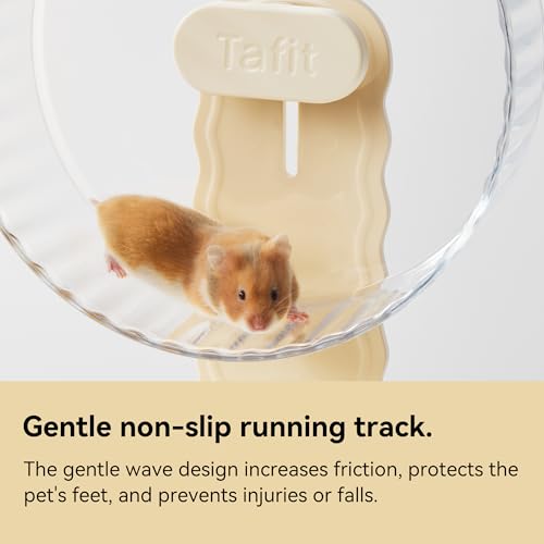 Quiet Hamster Wheel 10.2 Inch Dual-Bearings Silent Small Animals Running Exercise Wheel Height Adjustable for Syrian Hamsters, Gerbils, Rats, or Other Small Pets, Transparent - color: Transparent, size: 10.2inch