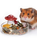 Niteangel Hamster Feeding & Food Bowls: Mushroom Glass & Chew-Resistant | Easy to clean & Stable Food Dish Feeding Bowls for Dwarf Syrian Hamsters Gerbils Mice Rats or Other Similar-Sized Small Pets - size: Feeding Bowl