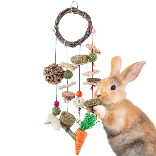 SunGrow Cage Hanging Rabbit Chew Toy, Handwoven Space-Saving Enclosure Accessory, Wooden Discs, Loofah Slices, Grass Ball & Compressed Hay, for Bunnies, Guinea Pigs, and Chinchillas, 17” x 7”, 1 Set