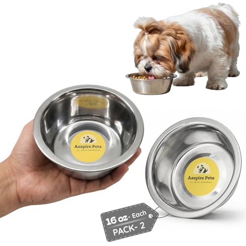 2 Pack Shallow Stainless Steel Cat & Dog Bowls, 2 Cup (16oz) Each, Heavy Duty Small Pet Only Puppy Kitten & Birds Feeder Replacement Bowl, Rust Resistant Metal Cat Dishes for Food & Water - size: 2 Cup (16oz)