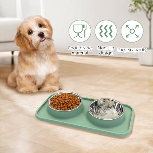 BNOSDM Double Dog Food Bowls Stainless Steel Dog Food and Water Bowls with Non-Spill Plastic Mat Pet Cat Feeder Bowl Set for Puppy Cats Kitten Small Medium Dogs Green - color: Green