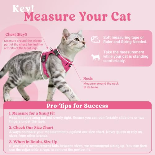 rabbitgoo Cat Harness and Leash Set, Easy-on with Neck Buckle, Rose Red | Escape Proof, No Over-the-head, Soft Air Mesh, 3 Lockable Adjusters & Buckles, Reflective, for Kittens & Small Cats Walks, Xs - color: Rose Red, size: Xs