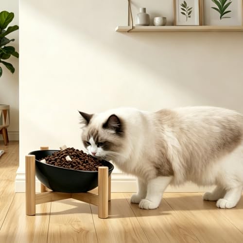 15° Slanted Rim Ceramic Cat Bowl, Anti-Spill for Small Cats,Black | ood-safe Ceramic with Wooden Stand,Ergonomic Tilt Relieves Neck Strain,Anti-Vomiting,Prevents Whisker Fatigue - color: Black