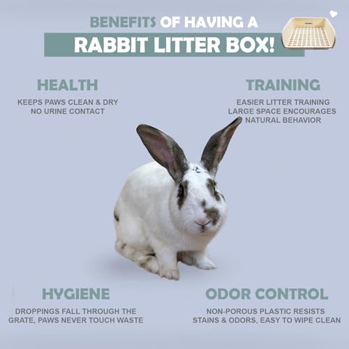 Kiwi & Mora Rabbit Litter Box - Extra Large Bunny Litter Box with Grate | 17.1"x12.8", Pee Pads & Cleaning Set – Potty Training Litter Pan for Large Breed Rabbits, Guinea Pig, Ferret, Chinchilla