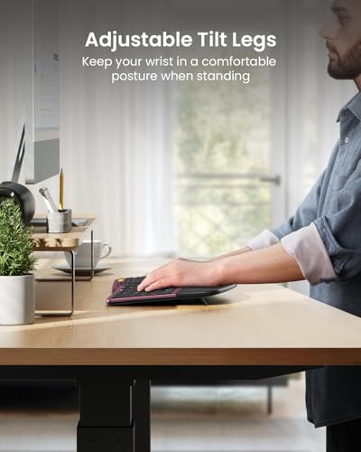 ProtoArc EKM01 Plus Wireless Ergonomic Keyboard Mouse Combo - Wine Red | Full-size Split Keyboard with Cushioned Wrist Rest, Ergonomic Mouse, 3-Device Bluetooth/2.4G, USB-C Rechargeable - color: Wine Red