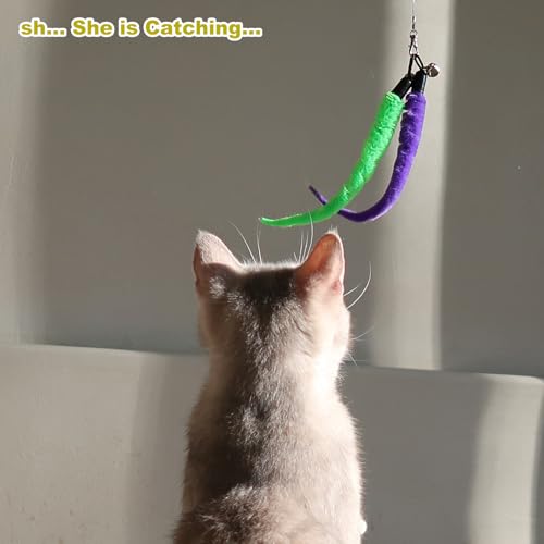 MeoHui Cat Toys for Indoor Cats, Interactive Cat Toy 2PCS Retractable Wand Toy and 9PCS Cat Feather Toys Refills, Funny Kitten Toys Cat Fishing Pole Toy for Bored Indoor Cats Chase and Exercise
