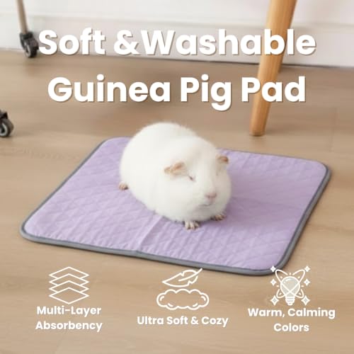 Guinea Pig Pad 12" x 12" 3 Pack, Washable Fleece Cage Liner, Purple | Soft fleece surface. 4-layer absorbent protection. Waterproof TPU & anti-slip bottom. Washable and reusable for guinea pigs. - color: Purple-12×12 inch（3-pack）