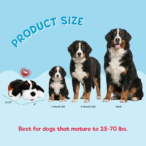 Snuggle Puppy Heartbeat Dog Toy for Puppies, Real-Feel Heartbeat, Calming Sleep Aid and Crate Training Comfort Toy with Heat Pack, Medium Breed Buddies Bernese Mountain Dog - color: Bernese
