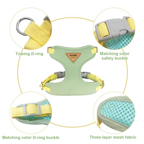 wanheart Cat Harness and Leash Set Escape-Proof Adjustable cat Leash and Harness Combo Suitable for All cat Breeds (Green, S) - size: S