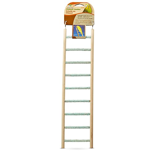 Penn-Plax Bird-Life Trimmer Plus Cement & Wood 9 Step Ladder – Cement Made from Crushed Sea Shells – Great for Small Birds (BA243)