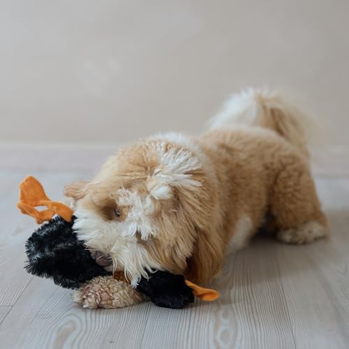 SPOT Skinneeez Mini Mallard Duck 13 Inch Stuffing-Free Plush Squeaky Dog Toy – Soft Interactive Toy for Small and Medium Dogs – Mess-Free Play for Light & Moderate Chewers – Assorted Styles - style: Mini Mallard Duck