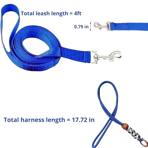 Ferret Leash Harness Adjustable Squirrel Sets, Leashes and Harnesses for Ferrets Guinea Pig Chinchilla Rat Dragon Bearded Small Animal, Pet Squirrel Ferret Accessories (Blue) - color: Blue