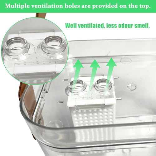 Hamster Carrier Portable Travel Cage with Water Bottle for Dwarf Hamsters Frogs Budgerigars Snails (Small)