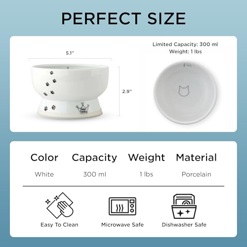 Necoichi Ceramic Elevated Cat Water Bowl, Whisker-Friendly (Cat, Regular) - color: Cat, size: Regular