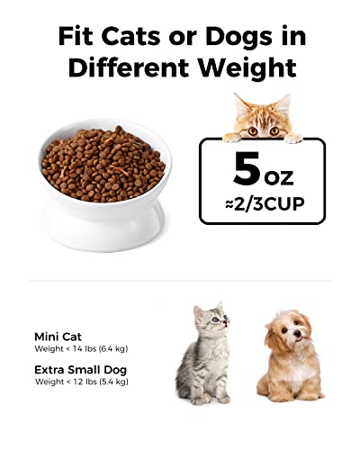 LoeJan Elevated Cat Food Bowl, 5 Oz Ceramic Raised and Tilted Water Bowl, Anti Vomiting and Protect Pets' Spines Dishes for Small Dog, Fat Faced Cat, Kitten (White, 1 Pack) - color: White