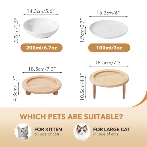 Havniva Elevated Cat Bowls, Cat Food and Water Bowl Set, Ceramic Cat Bowl | Raised Cat Food Bowls, Whisker Friendly, 5.6” Shallow Cat Dishes + 6” Wide Cat Plates, Non-Slip Wood Stand, Two Heights - color: White, size: 1 Bowl+1 Dish