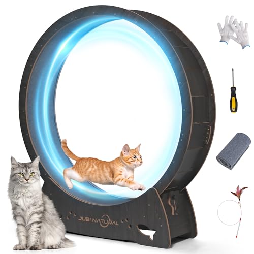 50" XL Cat Exercise Wheel, Low-Noise Indoor Treadmill, Black | 50" running diameter, 50 lb capacity, TPE low-noise rollers, under 6 mm gap, safety lock, removable carpet and stable base - color: BLACK, size: 50"