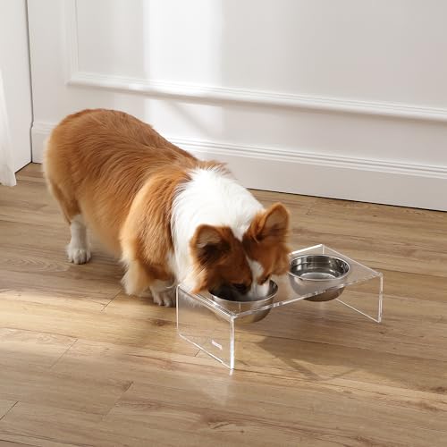 DBL2000A Keaton 5" Small/Medium Modern Lucite Rectangular Elevated Pet Feeder with 20oz 2-Stainless Steel Bowls, Clear/Chrome - color: Clear/Chrome, size: 20 Ounces (5" Cups 2-Pack)