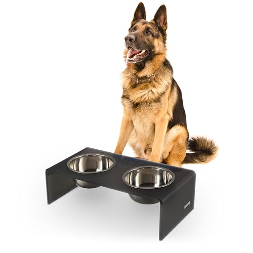 DBL2001J Keaton 7.5" Medium/Large Modern Acrylic Rectangular Elevated Pet Feeder with 54oz 2-Stainless Steel Bowls, Dark Gray/Chrome - color: Dark Gray/Chrome, size: 54 Ounces (7.5" Cups 2-Pack)